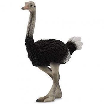 Figurine d'autruche CollectA (Grand)