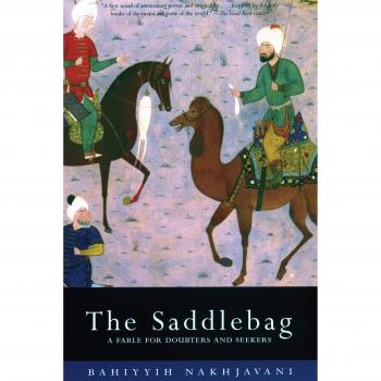 Saddlebag