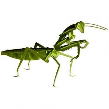 3D Papiermodell - Gottesanbeterin