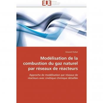 Modélisation de la combustion du gaz naturel par réseaux de réacteurs