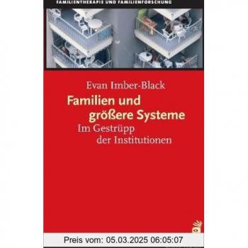 Familien und größere Systeme: Im Gestrüpp der Institutionen