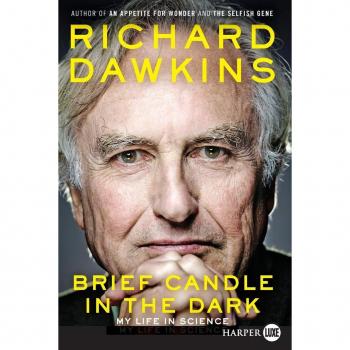Brief Candle in the Dark LP