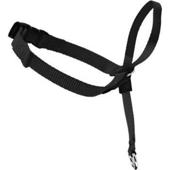 Collier d'entraînement doux pour chien