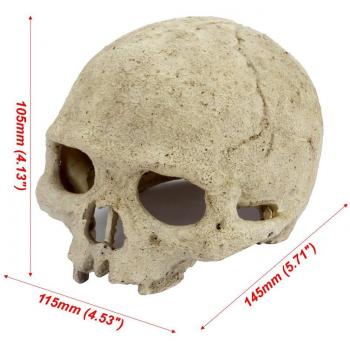 Senzeal Resin Skull Aquarium Decor