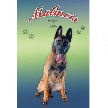 Blech Schild Malinois - Belgien 1899 20 x 30 cm
