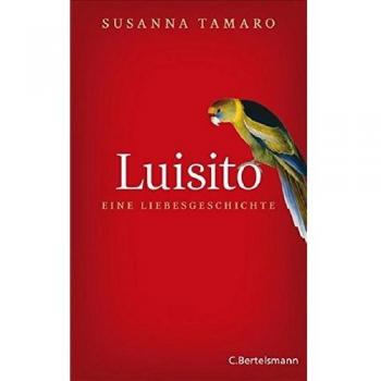 Luisito - eine Liebesgeschichte: Roman