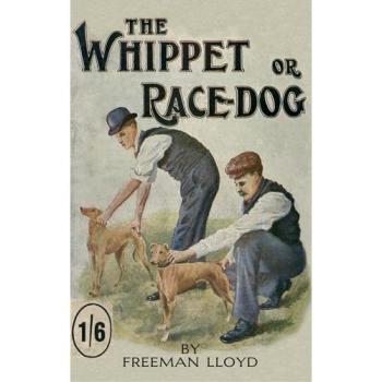 The Whippet or Race Dog
