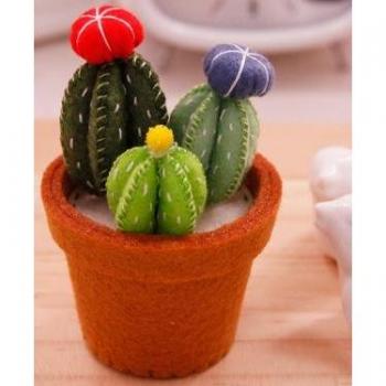 Wool Felt Succulent DIY Kit