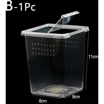 Transparentes Terrarium für Eidechsen