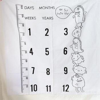 Infant Photo Prop Blanket