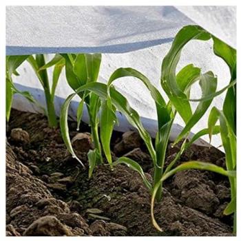 Telo Protettivo 134060 – Pacchetto 3 rotoli, 2×10 mt