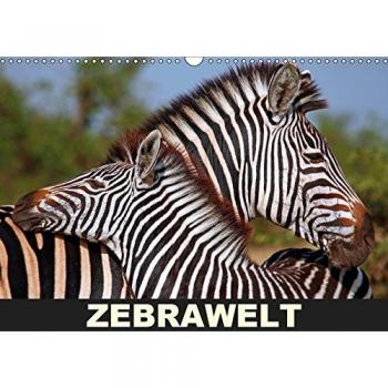 ZEBRAWELT