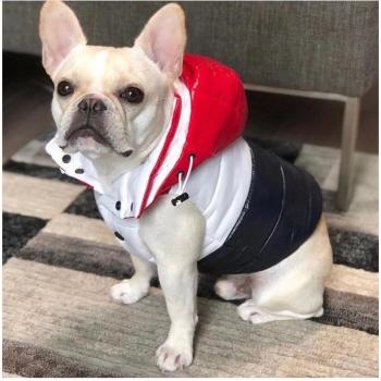 Luxury Pet Dog Ski Hoodie