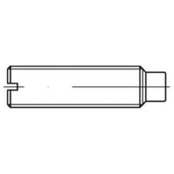 Gewindestift ISO 7435 M10x16 14 H 50er Pack
