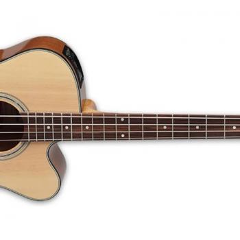 Takamine TAKGB30CENAT Natural