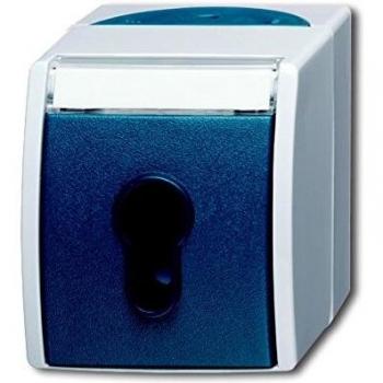 Busch-Jaeger Surface Mounted Key Switch 2733 SLW-53