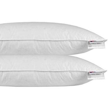 Almohada Plumas Homescapes Ganso 40x80 Lote 2