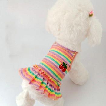 Rayas Coloridas Paws