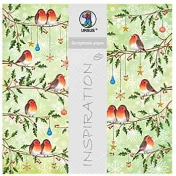 Ursus Scrapbook Papier Premium Glitter 30,5x30,5cm VE=5 Blatt Motiv 312