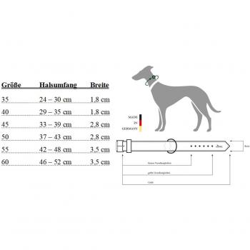 HUNTER CAPRI Hundehalsband, 50 (S-M), Nappa, lindgrün