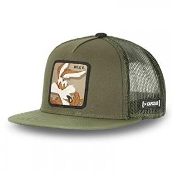 Snapback Wile E con visiera piatta e trama di rete