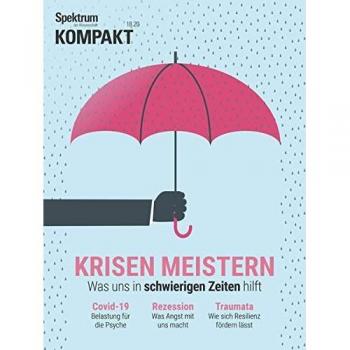 Spektrum Kompakt - Krisen meistern