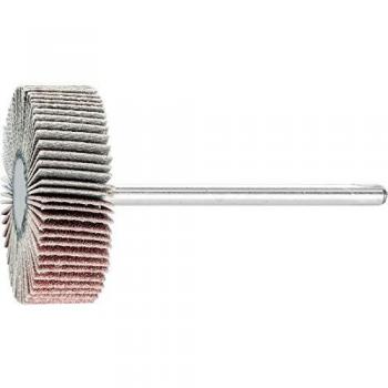 Levigatrice a ventaglio PFERD Ø 30 mm 10 pz