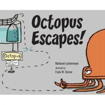 Octopus Escapes!