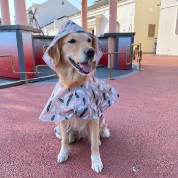 TOMEPETS Lightweight Waterproof Dog Poncho