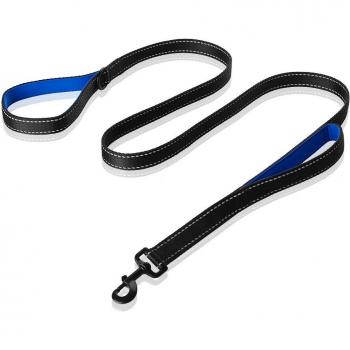 Safety Training Dog Leash with Double Handles