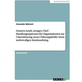 Gestern Azubi, morgen Chef - Handlungsoptionen für Organisationen zur Unterstützung neuer Führungskräfte beim mehrstufigen Kaminaufstieg