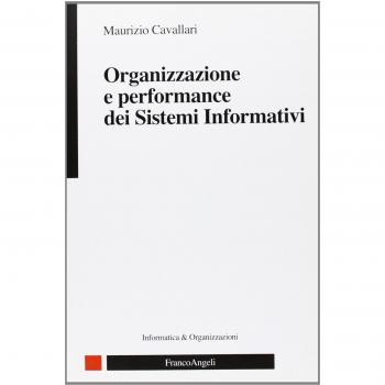 Organizzazione e performance dei sistemi informativi