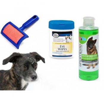 Ensemble de Soins pour Chiens Shampooing et Lingettes