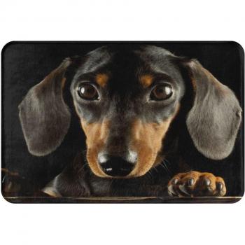Dachshund Dog Photo Portrait Floor Mat