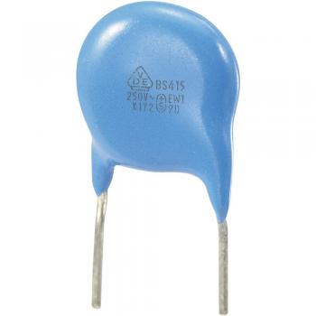 Radial Lead 1000pF Ceramic Capacitor 250V AC