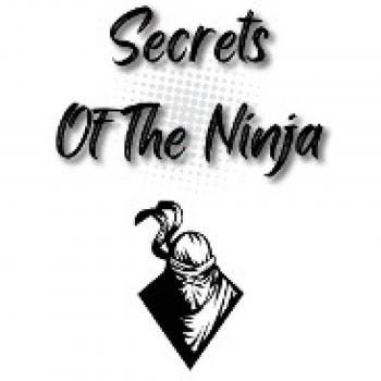 Secrets Of The Ninja
