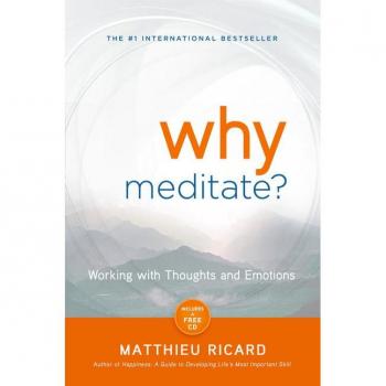 Why Meditate?