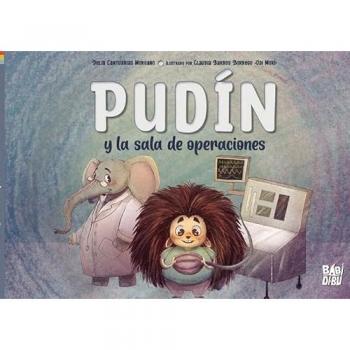 Pudín y la sala de operaciones
