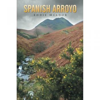 Spanish Arroyo