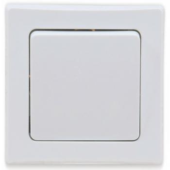 DELPHI Wechselschalter Klemmanschluss, 10A/250V, 1-fach-Rahmen, weiß