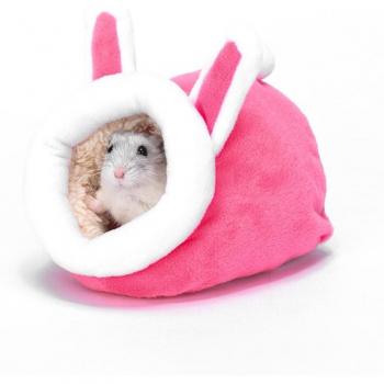 Guinea Pig Accessories