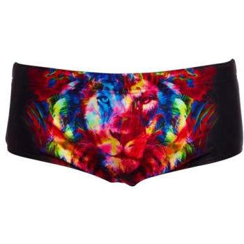 Funky Trunks Sidewinder Pride Alive 12-Year-Old Swimming Boxer – Boys Edition