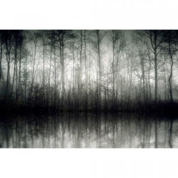 Leinwand „Der Nebel“ – Grau, Akustik-Canvas 90×60 cm