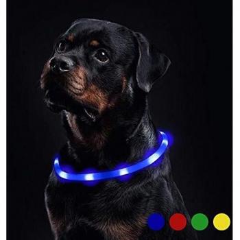 Toozey LED Leuchthalsband - USB Wiederaufladbar, für Hunde und Katzen, Blau