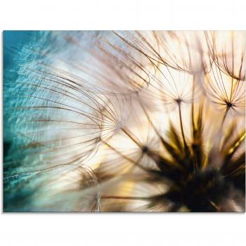 Glasbild ARTLAND Abstrakte Pusteblume, beige (naturfarben), B:80cm H:60cm, Bilder, in verschiedenen Größen