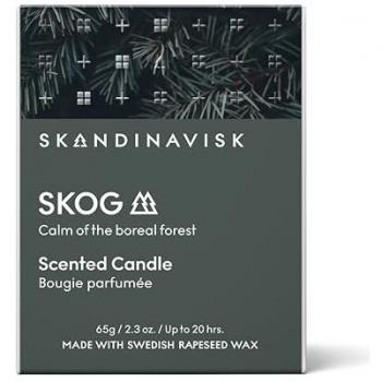 SKANDINAVISK SKOG Duftkerze 65 g