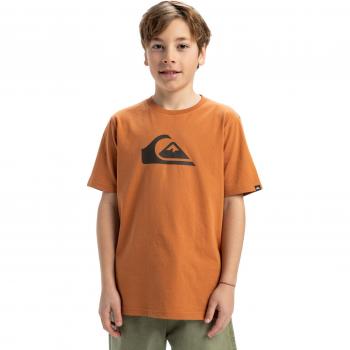 Marron Quiksilver Enfant EV T-shirt