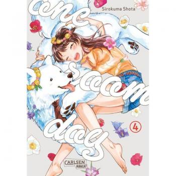 One Room Dog 4