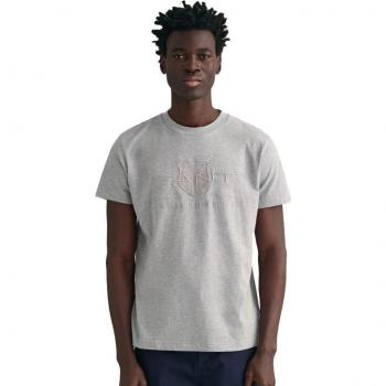 T-shirt à Manches Courtes GANT D1 Tonal Archive Shield Gris