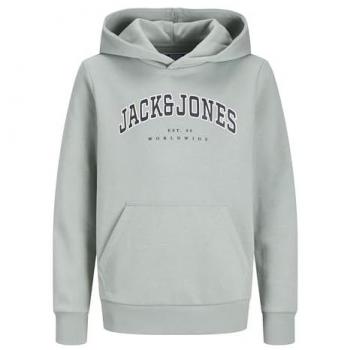 Iceberg Green Caleb Varsity Hoodie for Men, Size 14